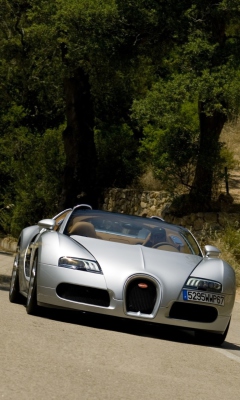 Обои Bugatti Veyron 16.4 Grand Sport 240x400