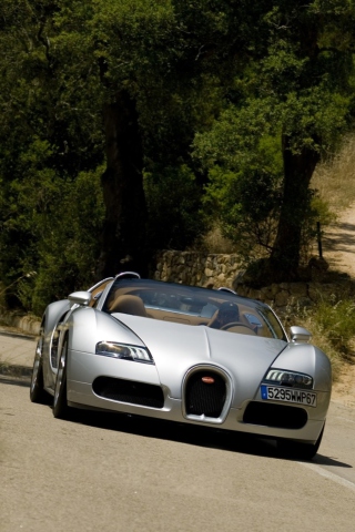 Das Bugatti Veyron 16.4 Grand Sport Wallpaper 320x480