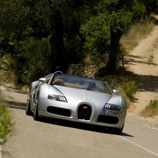 Bugatti Veyron 16.4 Grand Sport - Obrázkek zdarma pro 208x208