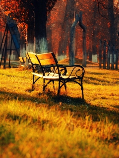 Das Autumn Walk In Park Wallpaper 240x320