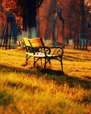 Autumn Walk In Park - Obrázkek zdarma pro 320x480