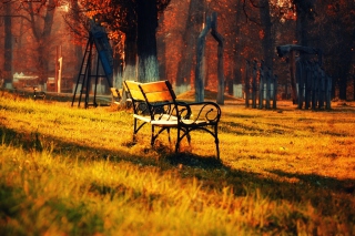 Autumn Walk In Park - Obrázkek zdarma 