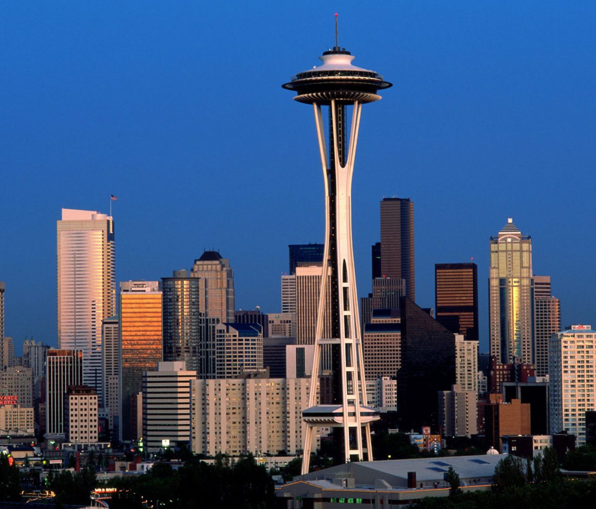 Screenshot №1 pro téma Seattle Space Needle 1200x1024