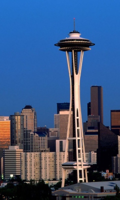 Screenshot №1 pro téma Seattle Space Needle 240x400