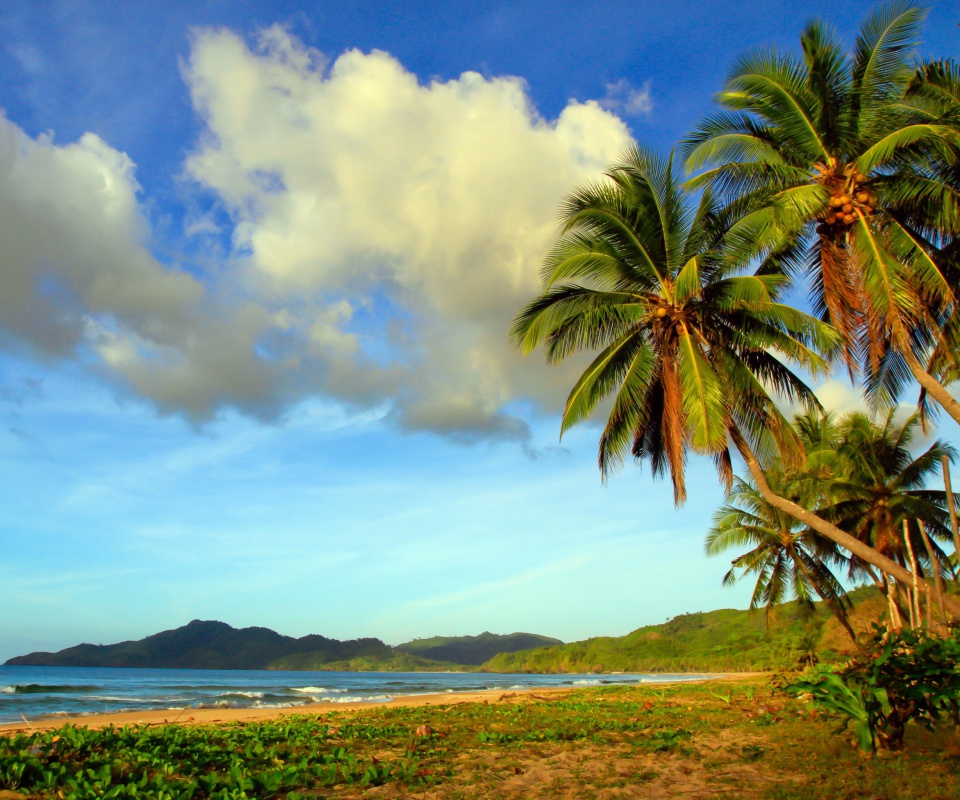 Sfondi Vietnam Beach 960x800