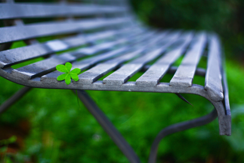 Screenshot №1 pro téma Little Green Leaf On Bench 480x320