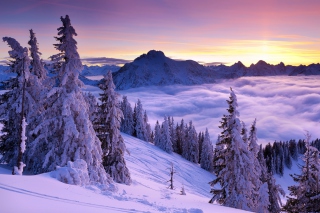 Purple Winter Sunset sfondi gratuiti per cellulari Android, iPhone, iPad e desktop