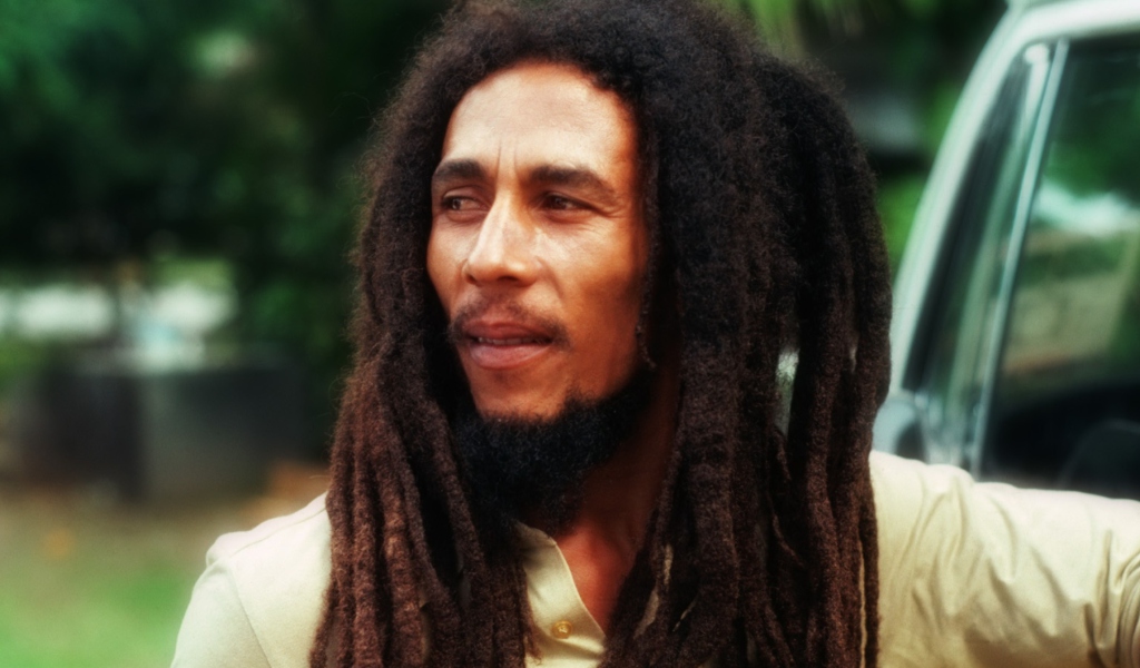 Bob Marley screenshot #1 1024x600