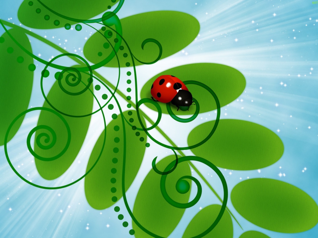 Das Vector Ladybug Wallpaper 1024x768
