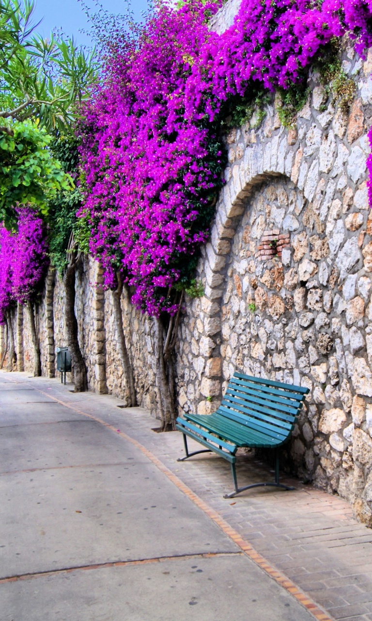 Iitaly flower street wallpaper 768x1280