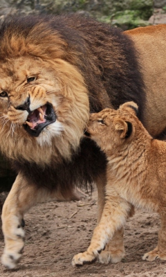 Father And Son Relationship screenshot #1 240x400