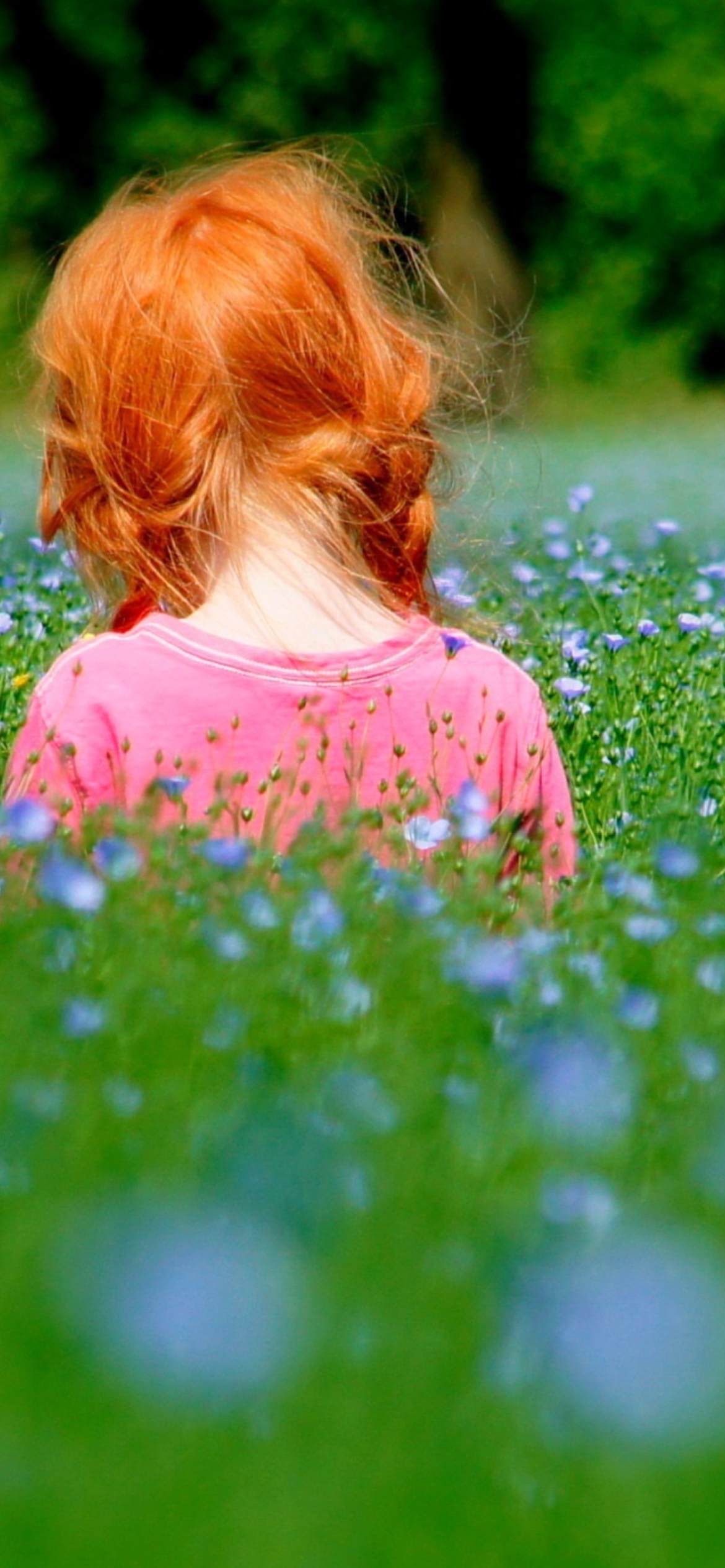 Redhead Child Girl Behind Green Grass wallpaper 1170x2532