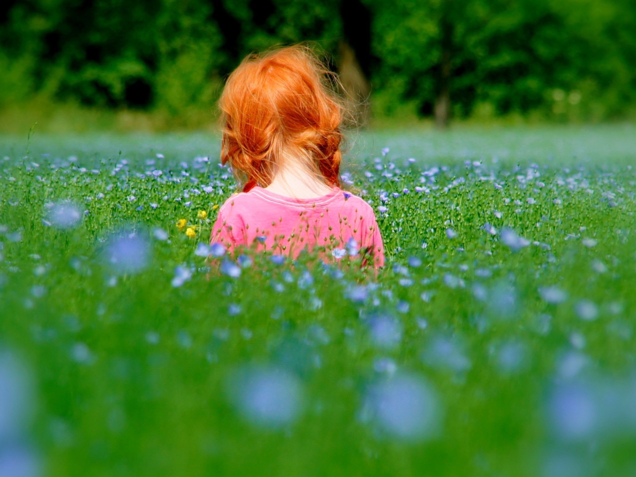 Sfondi Redhead Child Girl Behind Green Grass 1280x960