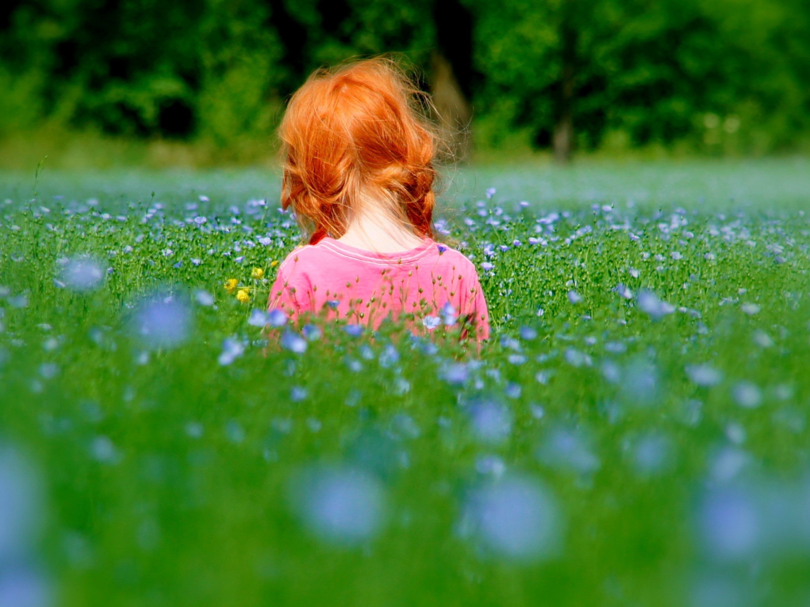Redhead Child Girl Behind Green Grass wallpaper 1600x1200