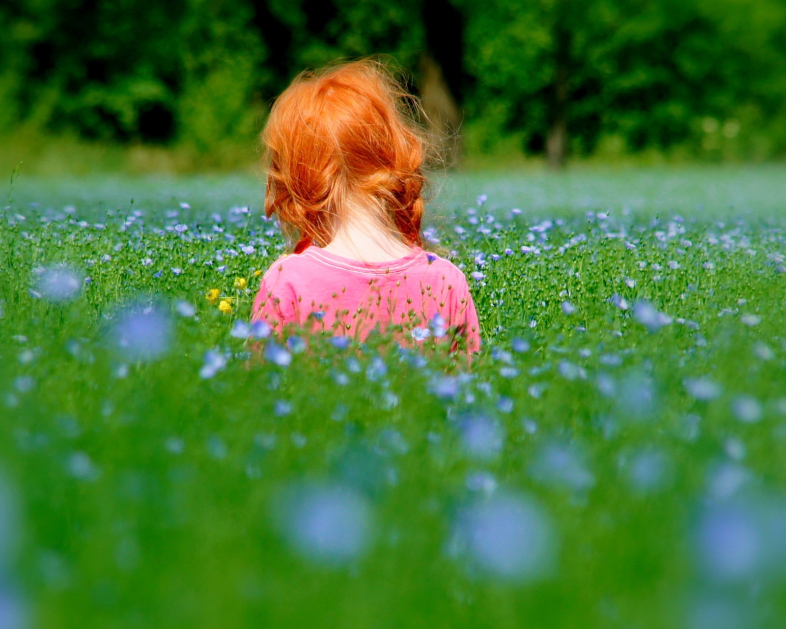 Fondo de pantalla Redhead Child Girl Behind Green Grass 1600x1280