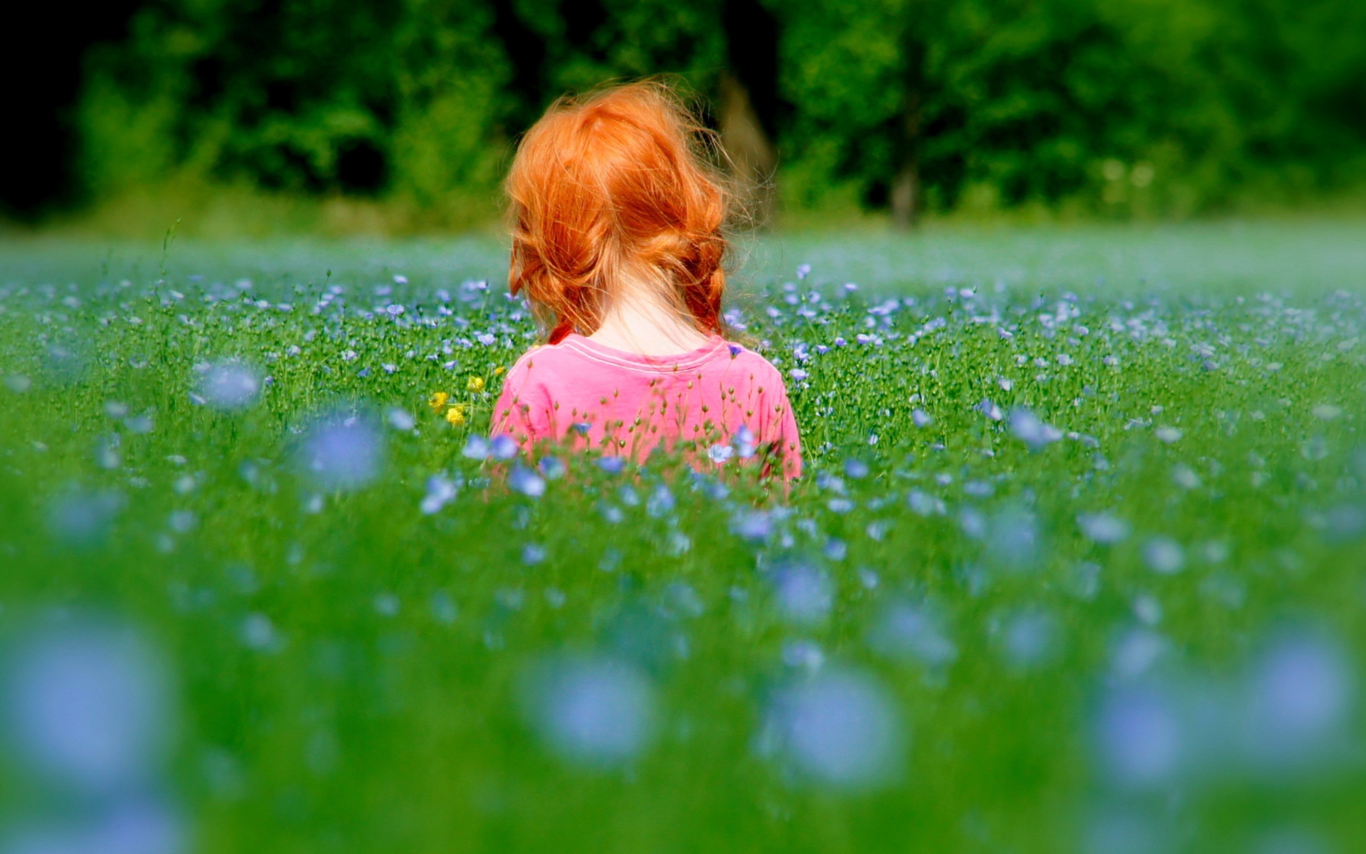 Обои Redhead Child Girl Behind Green Grass 1920x1200