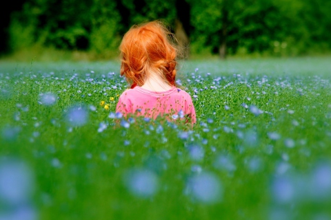 Fondo de pantalla Redhead Child Girl Behind Green Grass 480x320