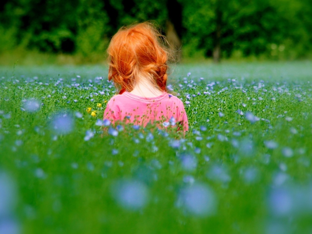Fondo de pantalla Redhead Child Girl Behind Green Grass 640x480