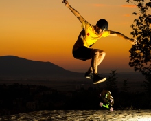 Skater Boy wallpaper 220x176