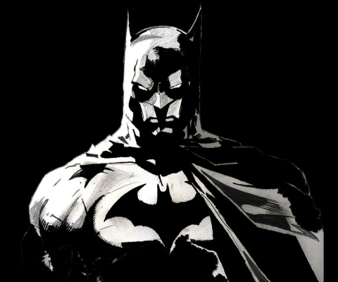 Screenshot №1 pro téma Batman Artwork 480x400
