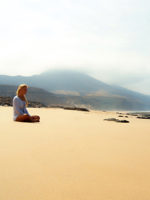 Screenshot №1 pro téma Girl Sitting On Beach 480x640