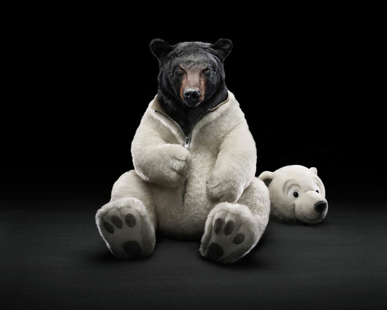 Fondo de pantalla Polar Bear 1280x1024