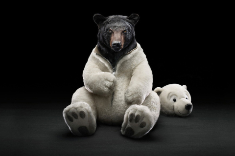 Fondo de pantalla Polar Bear 480x320