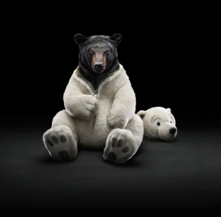 Polar Bear - Obrázkek zdarma pro iPad Air