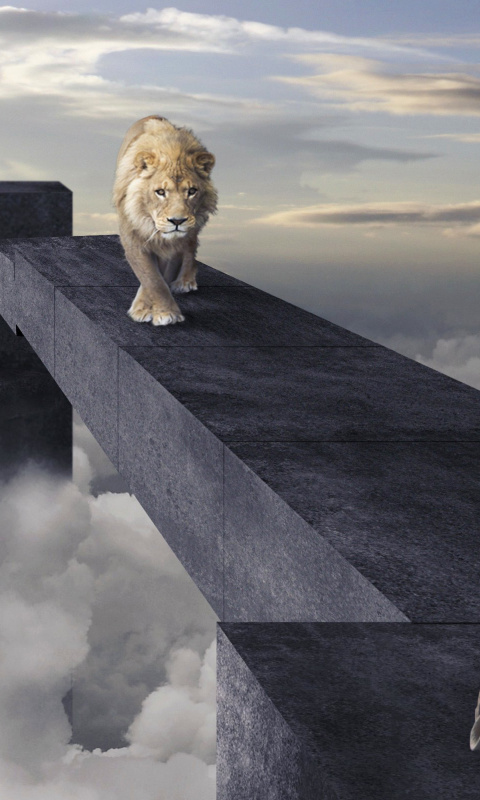 Advertisement with Lion wallpaper 480x800