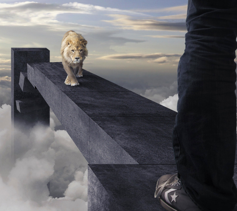 Advertisement with Lion wallpaper 960x854
