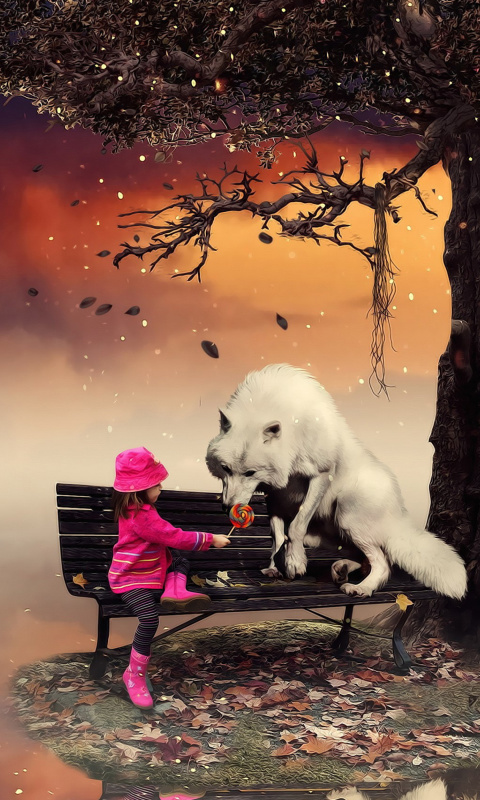 Little Red Riding Hood and Wolf wallpaper 480x800