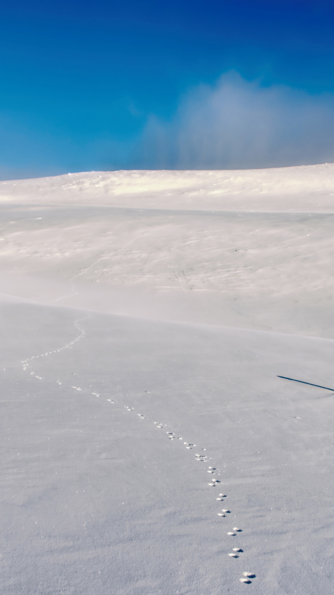 Обои Footprints on snow field 1080x1920