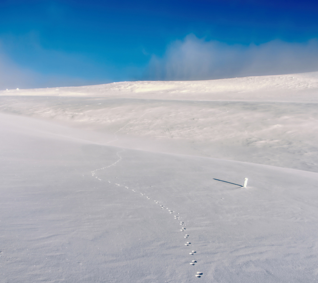 Das Footprints on snow field Wallpaper 1080x960
