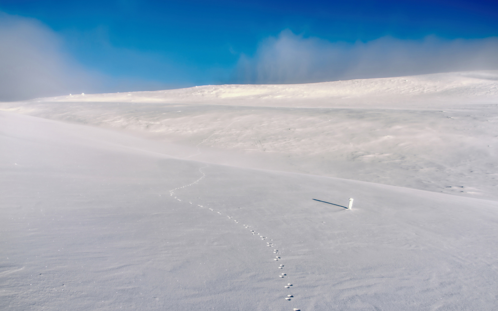 Das Footprints on snow field Wallpaper 1680x1050
