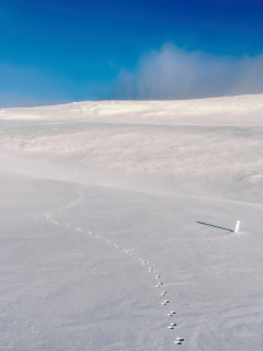 Обои Footprints on snow field 240x320