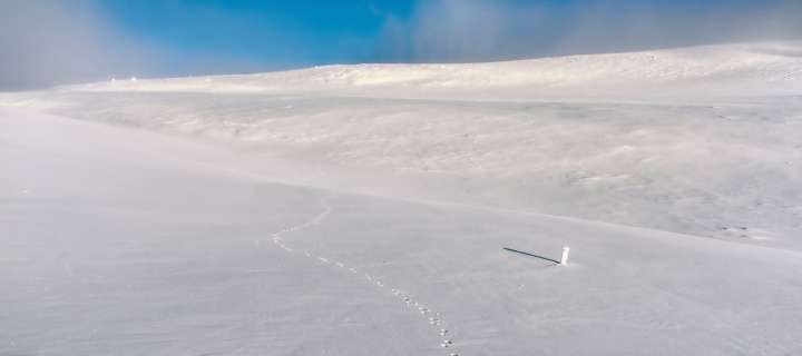 Sfondi Footprints on snow field 720x320