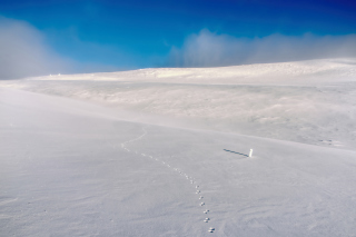 Footprints on snow field papel de parede para celular 