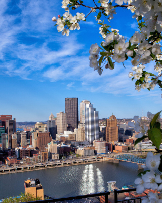 Pittsburgh Washington - Obrázkek zdarma pro 128x160