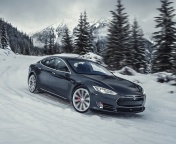 Tesla Model S P85D on Snow screenshot #1 176x144