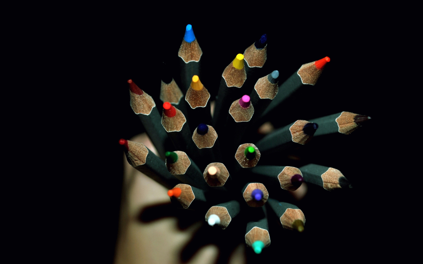 Das Colorful Pencils In Hand Wallpaper 1440x900
