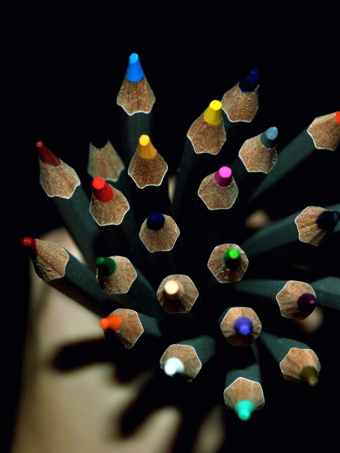 Das Colorful Pencils In Hand Wallpaper 480x640