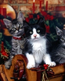 Screenshot №1 pro téma Christmas Cats 128x160