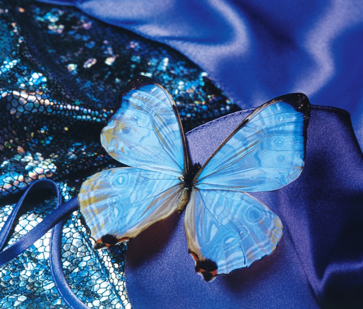 Screenshot №1 pro téma Blue Butterfly 1200x1024