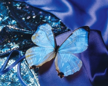 Blue Butterfly screenshot #1 220x176