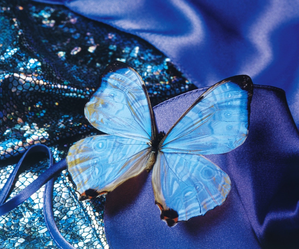 Das Blue Butterfly Wallpaper 960x800