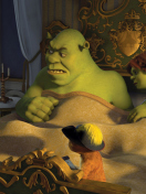 Fondo de pantalla Cartoons Shrek 3 132x176