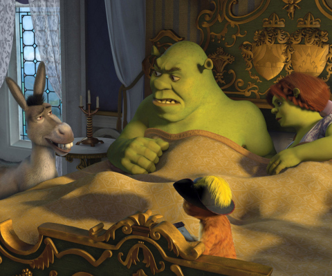 Screenshot №1 pro téma Cartoons Shrek 3 480x400