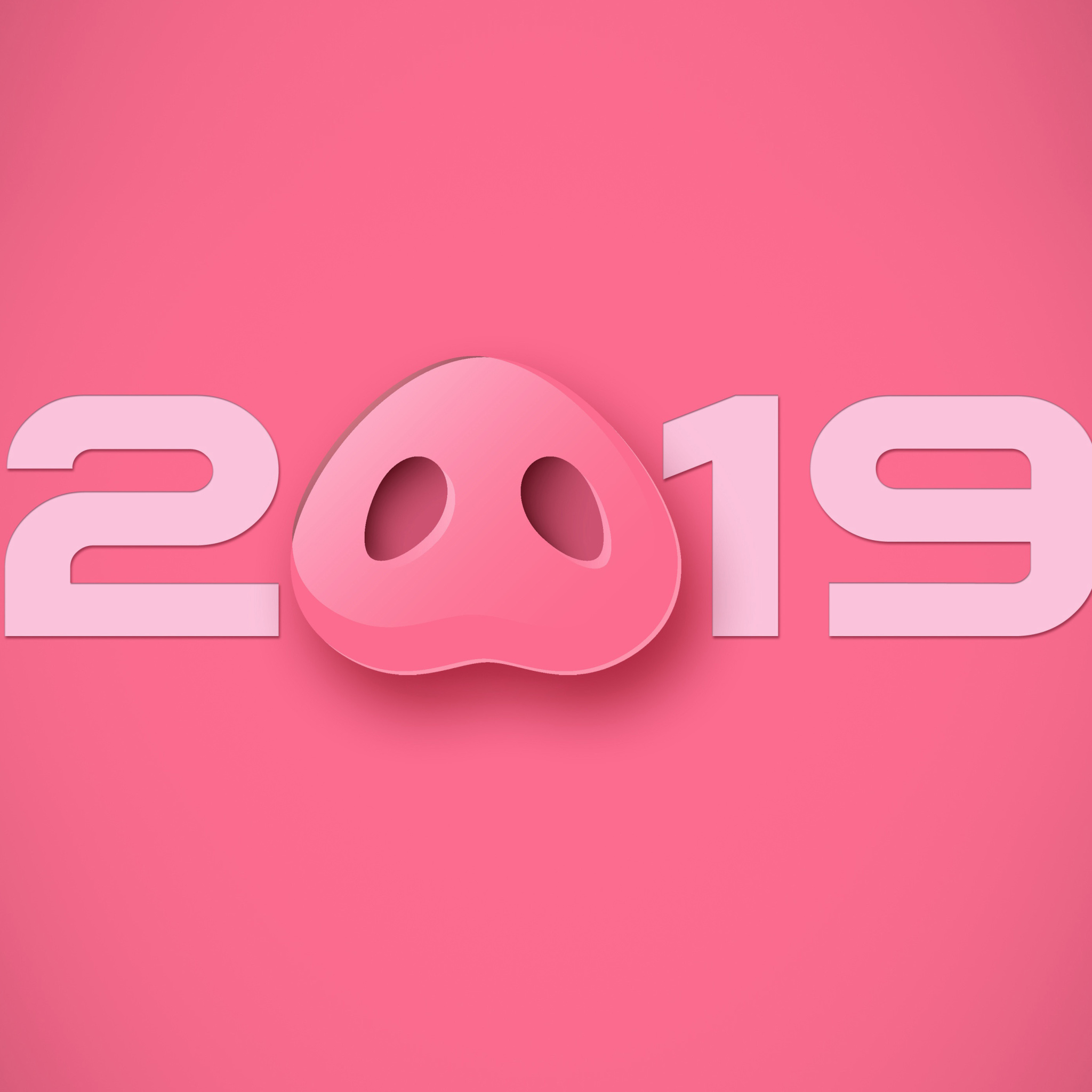 Prosperous New Year 2019 wallpaper 2048x2048