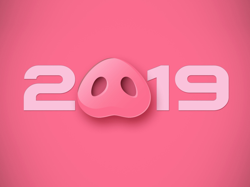 Prosperous New Year 2019 wallpaper 800x600