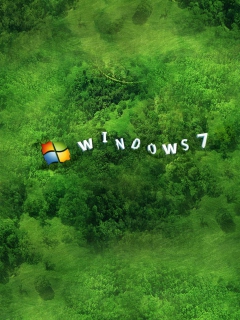 Screenshot №1 pro téma Windows 240x320